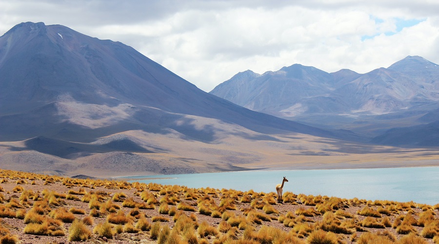 Atacama y Uyuni